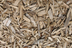 biomass boilers Ingatestone